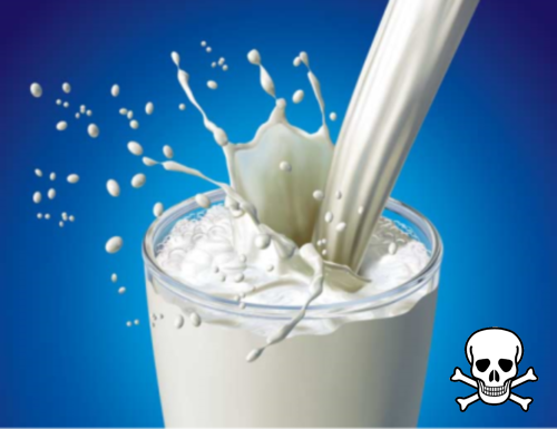 опасность молока